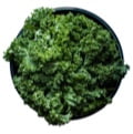 Dark, leafy vegetables.