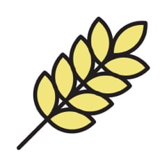 NULL NULL