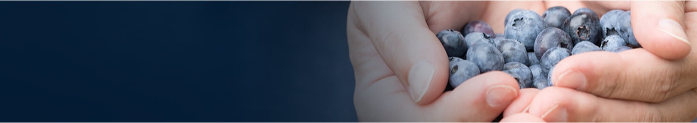 Hands holding blueberries