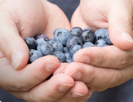 Mains pleines de bleuets.