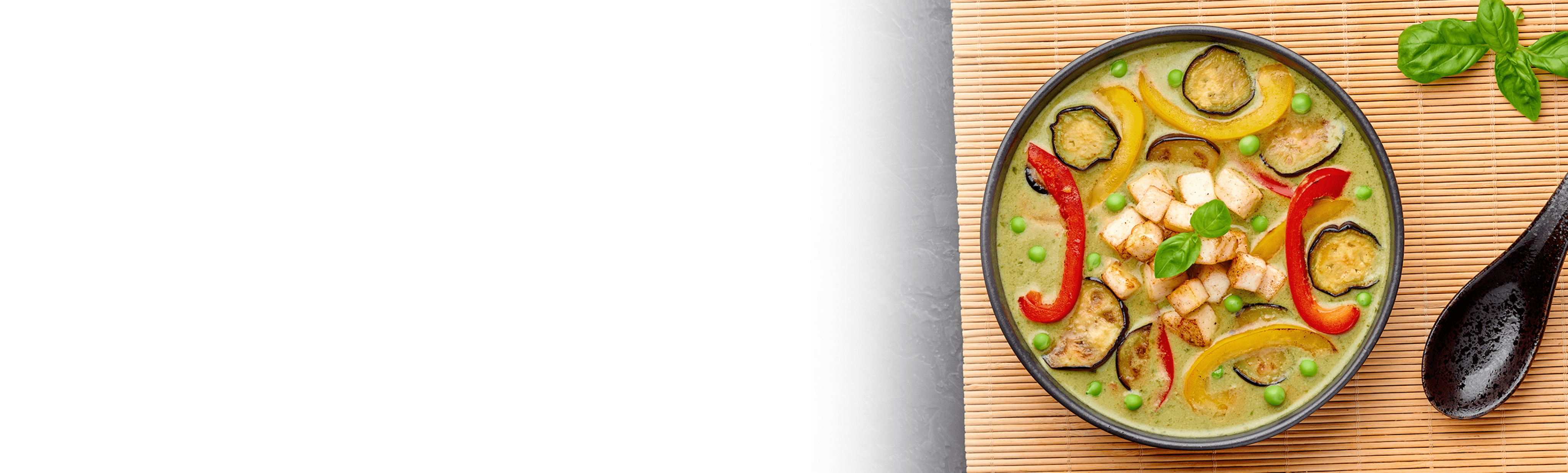 Ragoût indonésien avec tofu et légumes printaniers banner