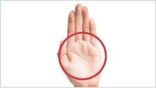 Open palm facing forward. Large circle drawn over flat hand.
