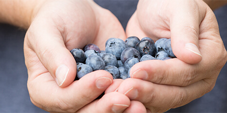 Hands holding blueberries